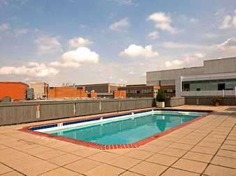 Rooftop Pool